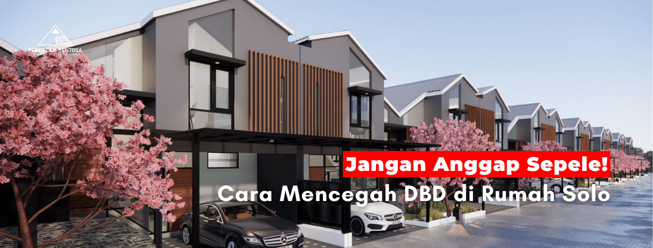 Mencegah DBD di Rumah Solo
