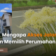 Perumahan murah akses jalan lebar Solo