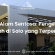 Pengembang rumah di solo