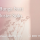 Perumahan Cluster Solo Cantik