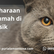 Rumah di Solo Asik Rumah di Solo Asik