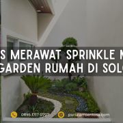 6 Tips Merawat Sprinkle Mini Garden Rumah di Solo
