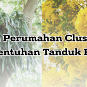 tabebuya perumahan cluster solo