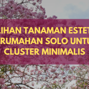 Tanaman Estetik Perumahan Solo