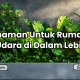 Tanaman Untuk Rumah Solo