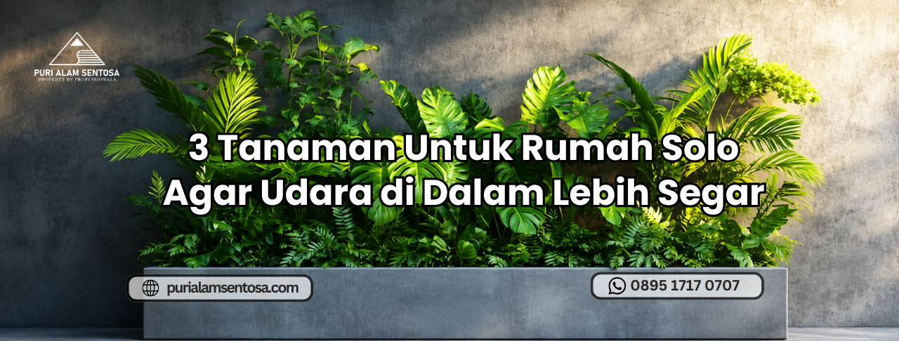 Tanaman Untuk Rumah Solo