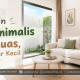 ruangan yang berkonsep open space disalah satu perumahan citra buana residence 2
