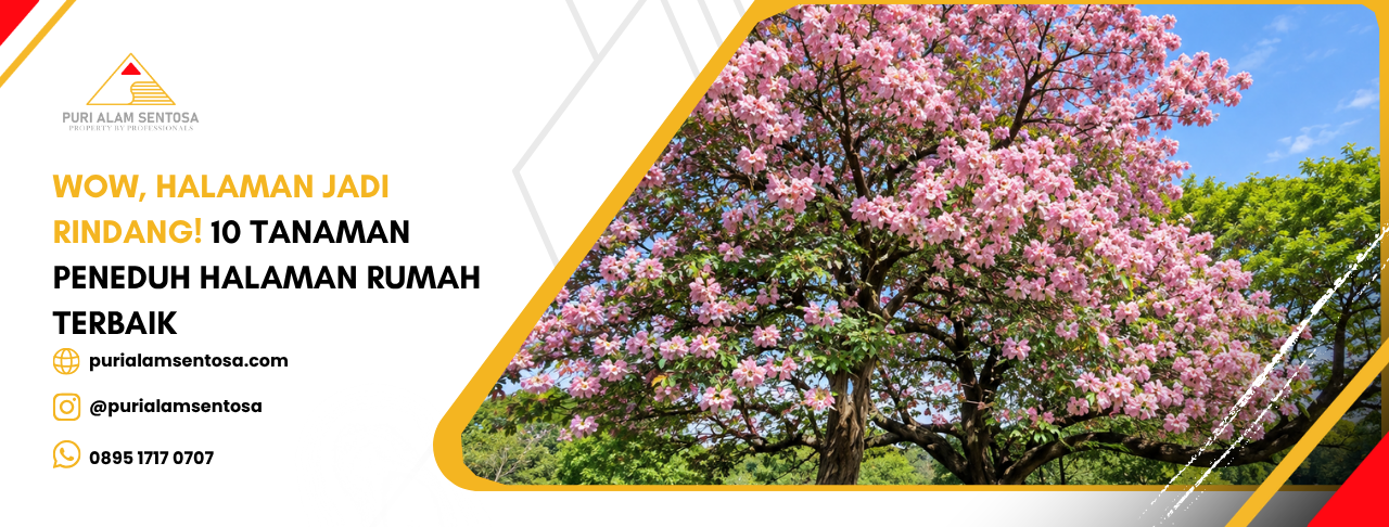 pohon tabebuya dengan bunga merah muda yang sedang mekar di taman